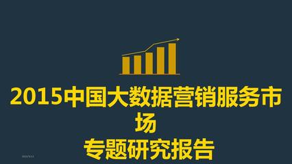 互联网大数据营销服务行业分析研究报告